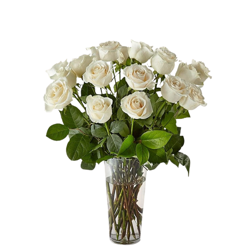 Roses all colors Madona Syria